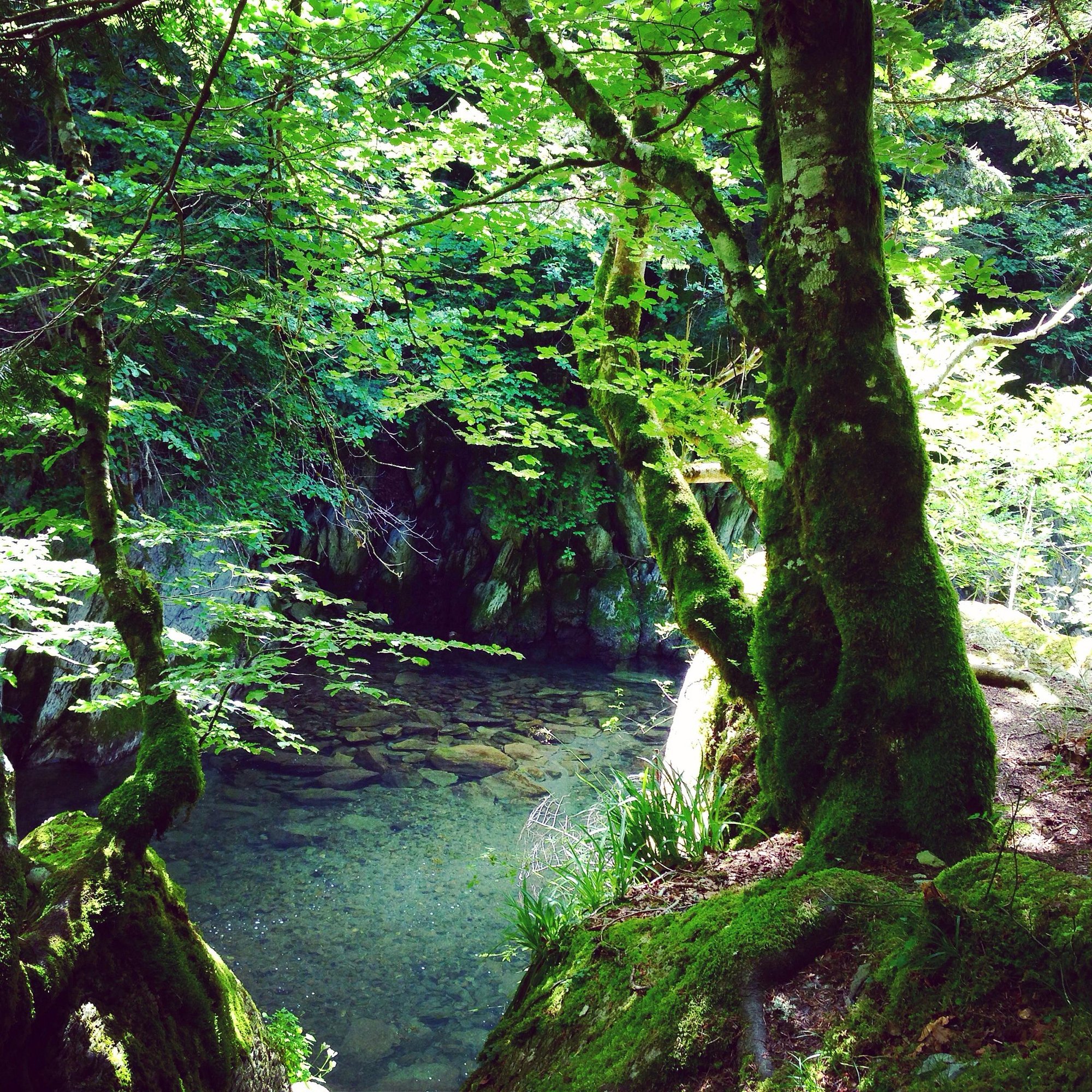 SAWABONA TREK - VIAJES EN GRUPO - Escapadas - Península -Valle Del Jerte (Extemadura)