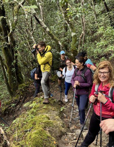 Actividad 6 - Anaga Ancestral VIP – Laurisilva y Gastronomía - EXPERIENCIAS VIP SAWABONA TREK