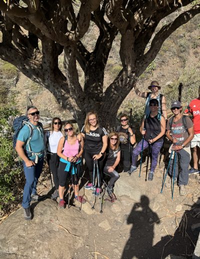 Actividad 6 - Anaga Ancestral VIP – Laurisilva y Gastronomía - EXPERIENCIAS VIP SAWABONA TREK