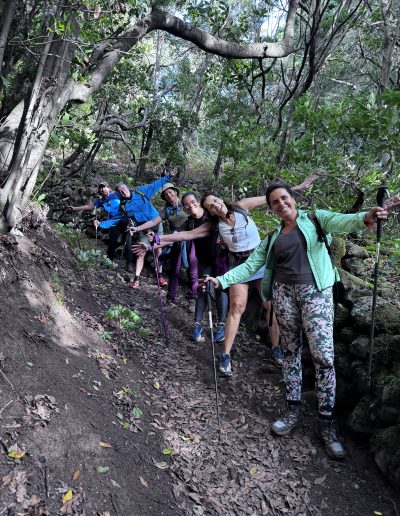 Actividad 6 - Anaga Ancestral VIP – Laurisilva y Gastronomía - EXPERIENCIAS VIP SAWABONA TREK